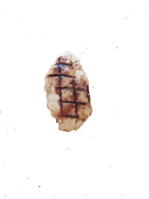 Grilled Chicken